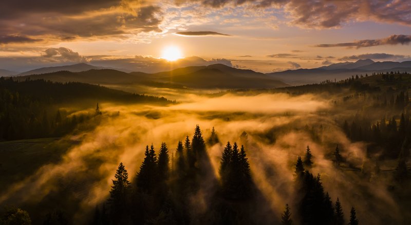 карпаты, туман, рассвет photo preview