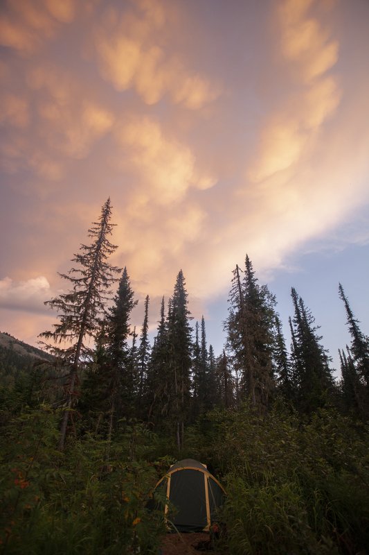 красиво, природа, вечер, тайга, небо Приятных снов...photo preview