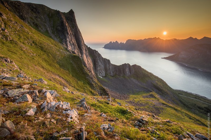 norway, сенья, норвегия, рассвет, фьорд Утроphoto preview