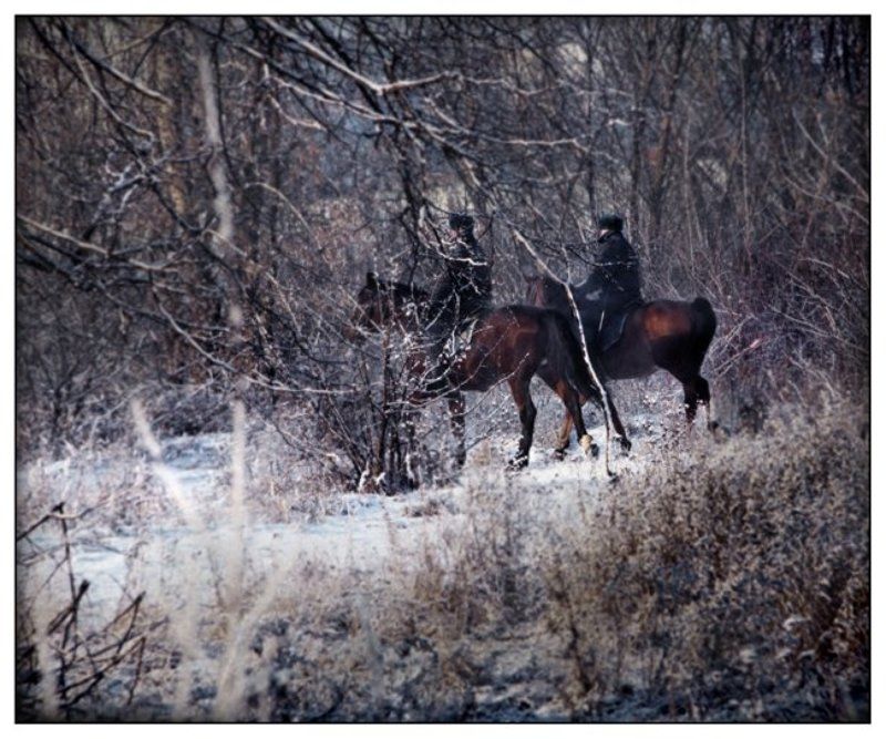 парк,наездники,всадник,кузьминки,москва,лощадь,патруль,зима,снег Всадникиphoto preview