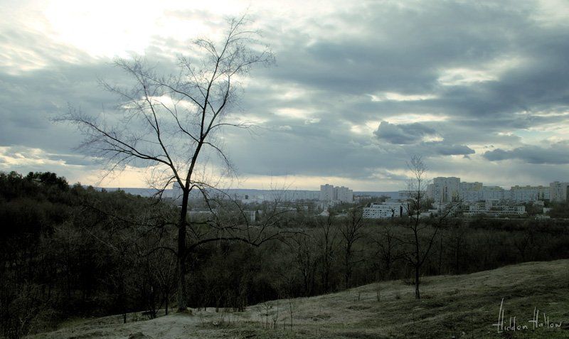 природа, весна На заре весныphoto preview