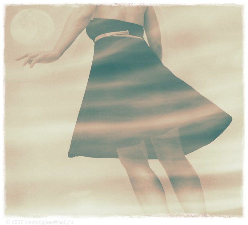 pilgrim, жанр Dream... фото превью