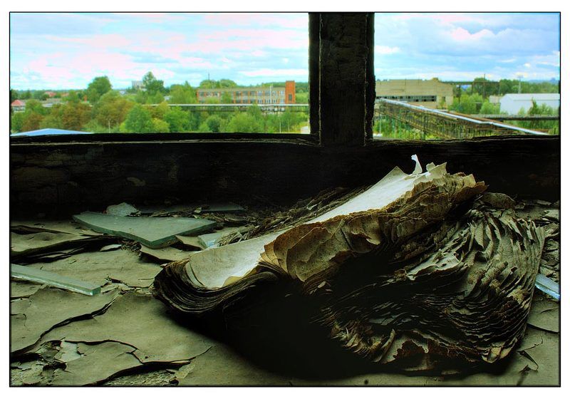 контрастphoto preview