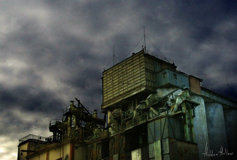 Slow moverphoto preview