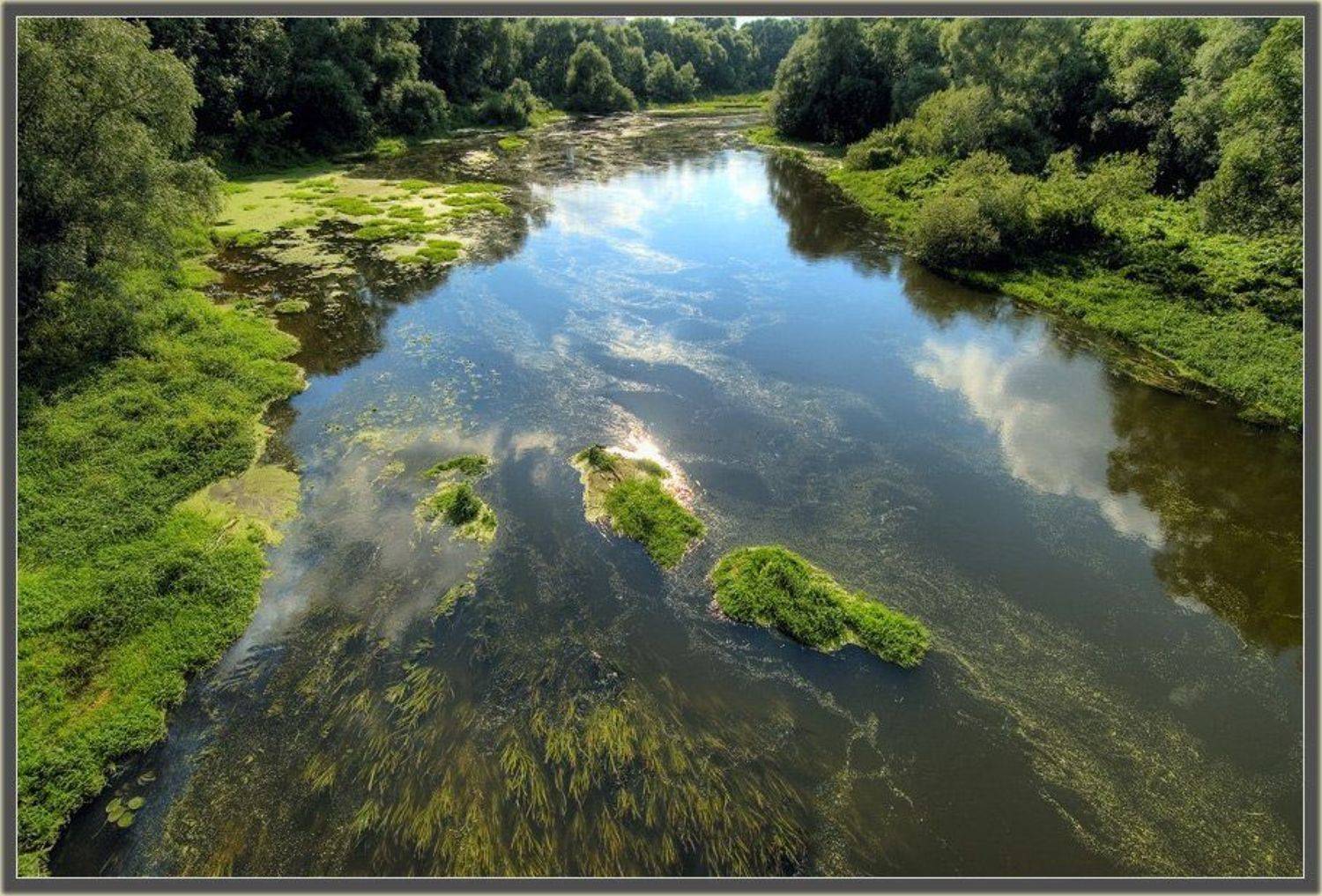 течение,река,лето, Александр Константинов
