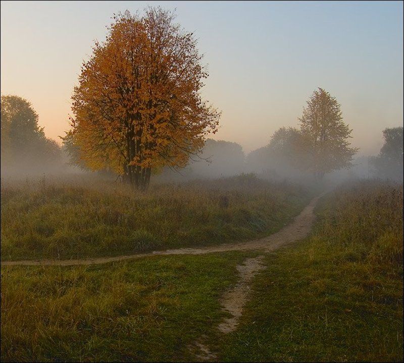 Про... тишину.photo preview