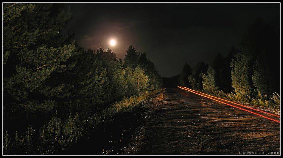 тайга, лес, ночь, луна, бурятия, дорога, Игорь Глушко
