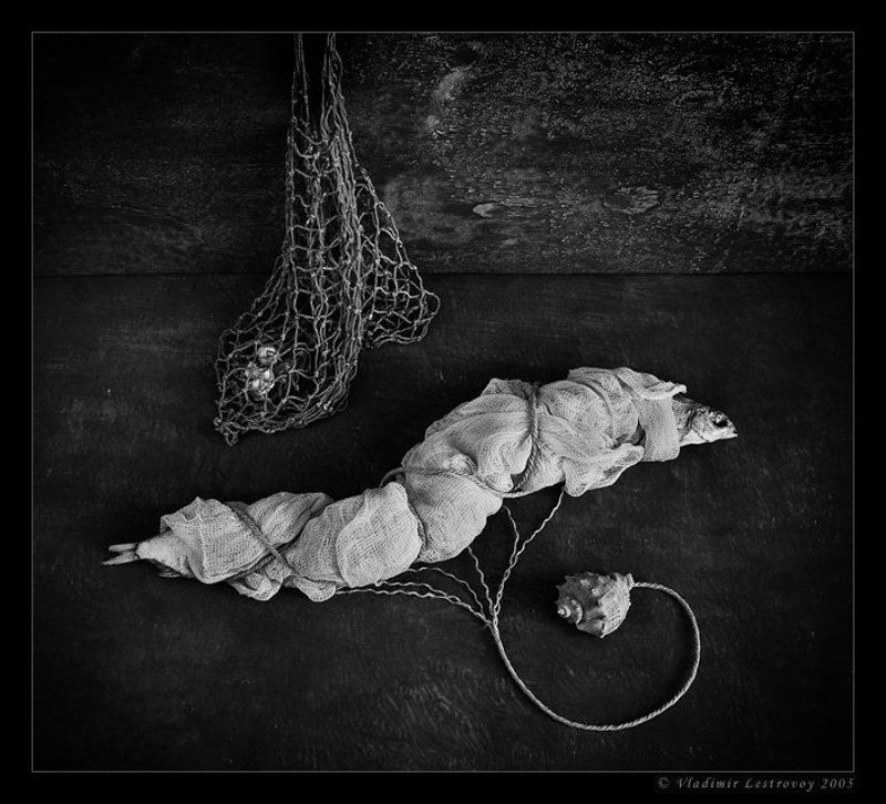 О живучести химерphoto preview