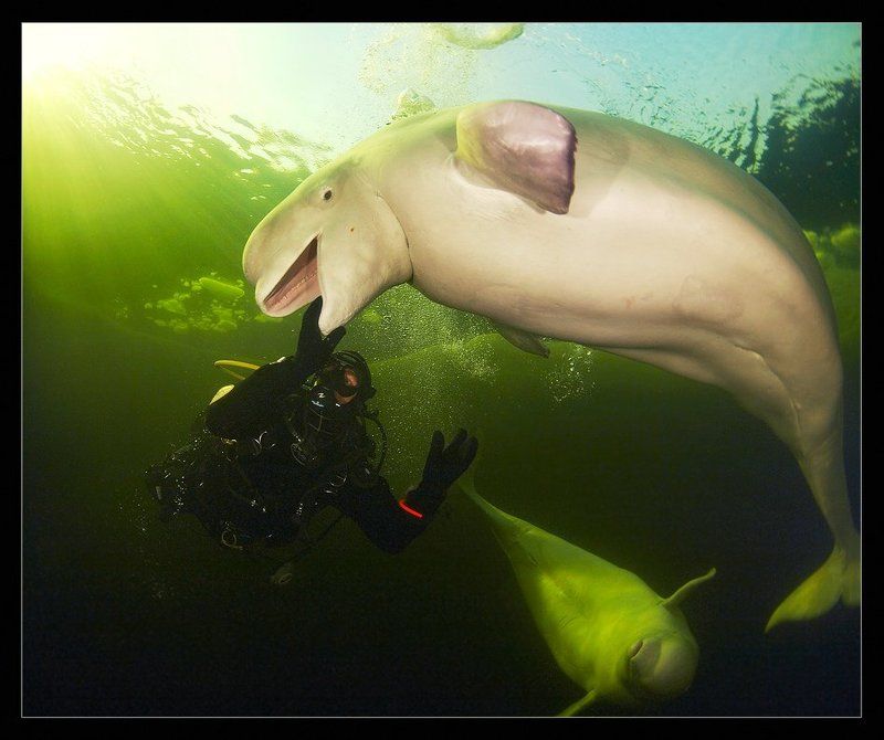 На приеме у стоматологаphoto preview