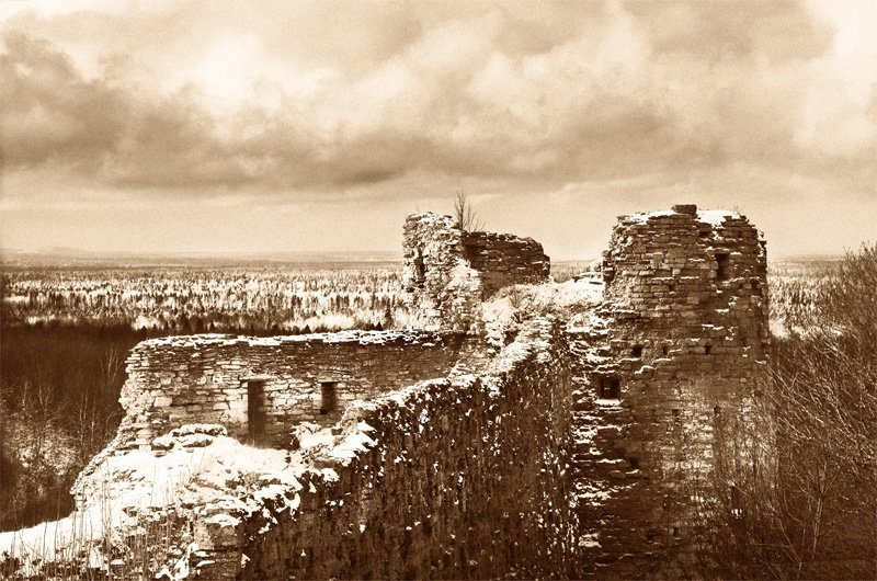 крепость капорье,лес,облака,время Капорьеphoto preview