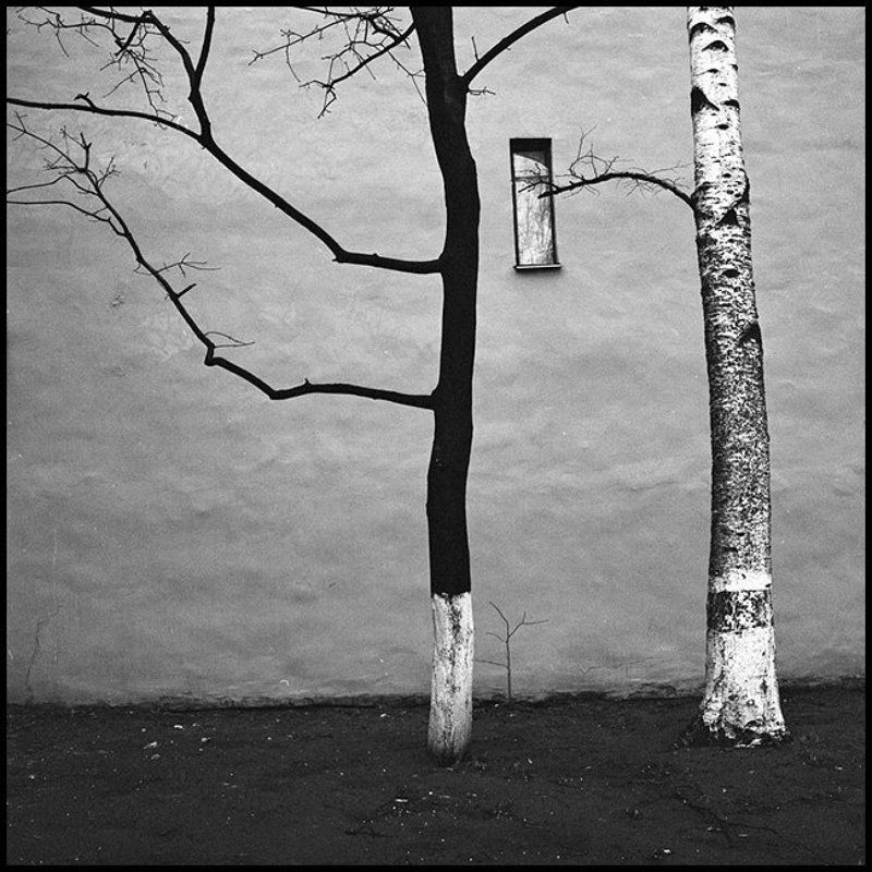 Без названияphoto preview