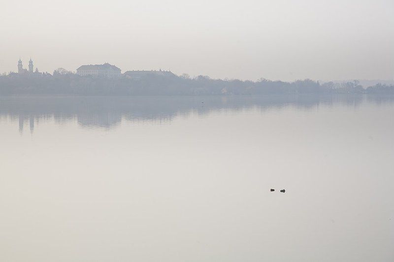 Молочноеphoto preview