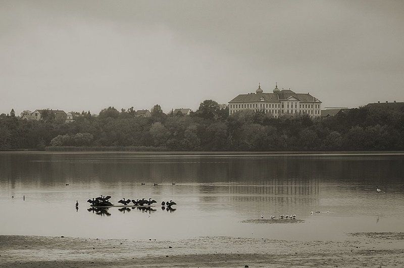 Кофейноеphoto preview