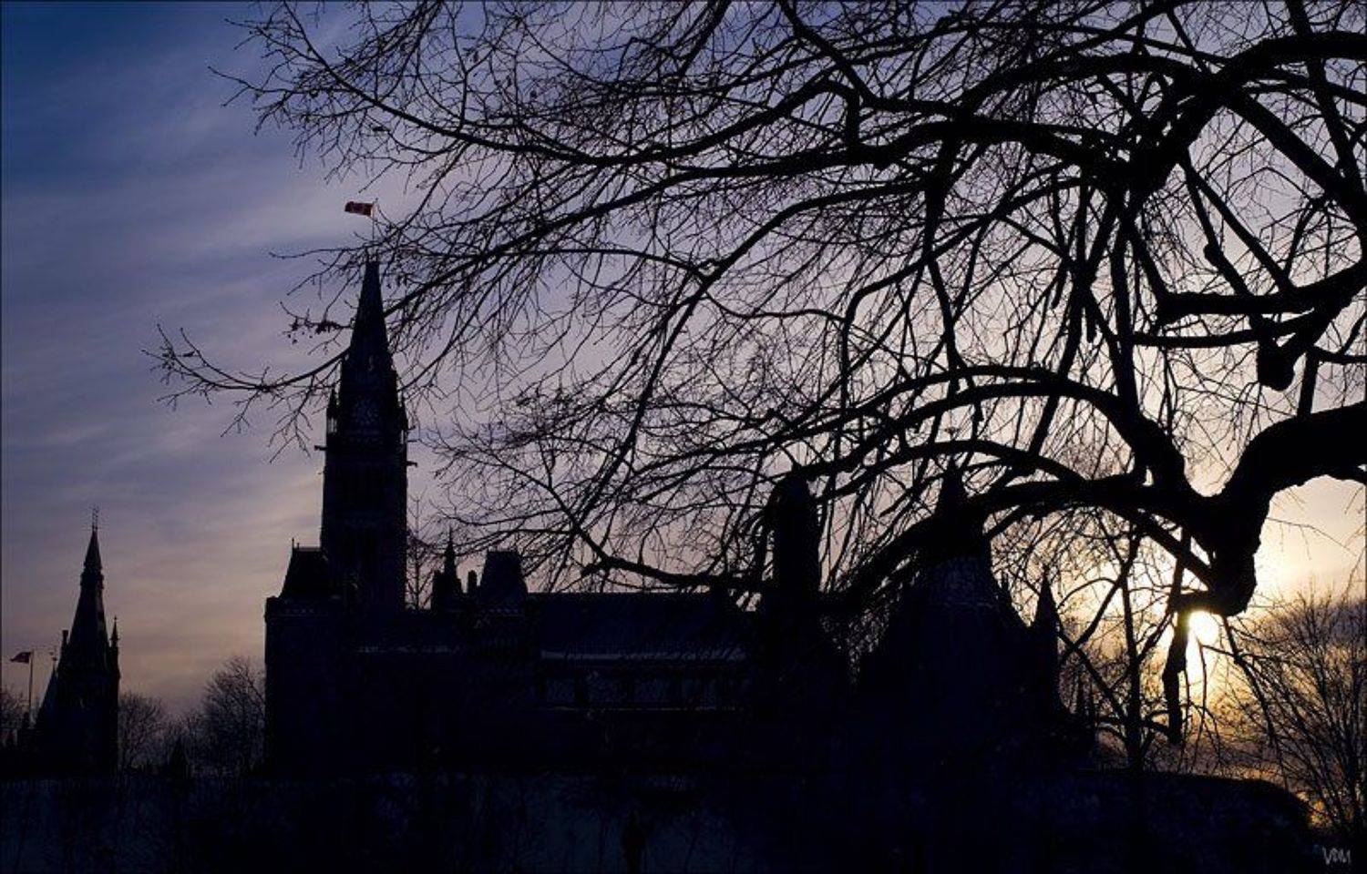 Вечер... Ветви.... Автор: VDM замок, VDM