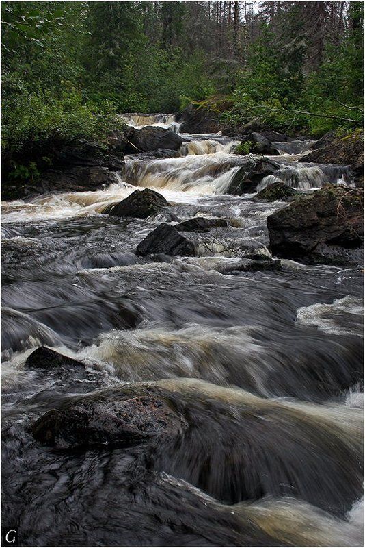 кольский, колвица, чёрный, ручей Чёрный ручейphoto preview