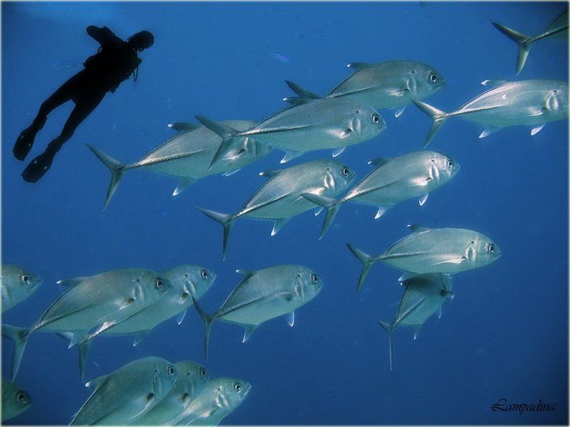 сафари египет-судан Параллельными курсамиphoto preview