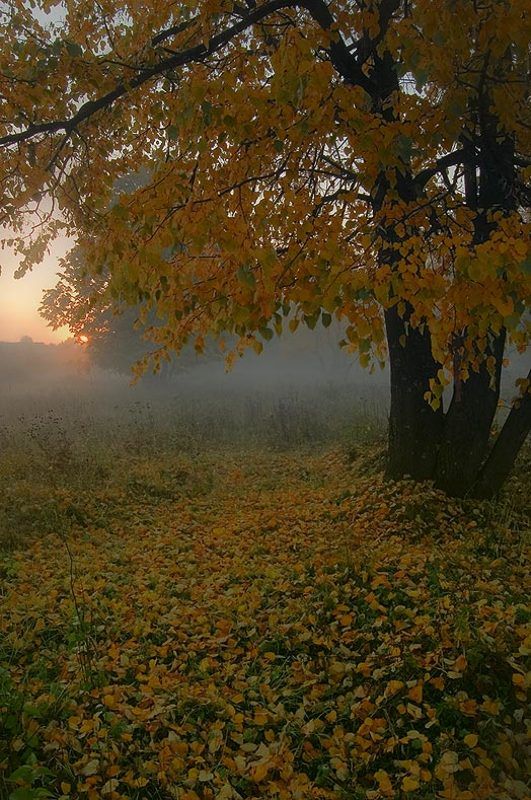Осенние зарисовкиphoto preview