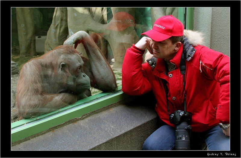 ну что, как будем снимать?photo preview