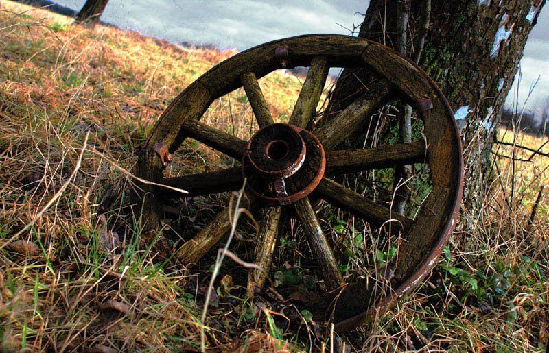 Репост Колесо...жизни?photo preview