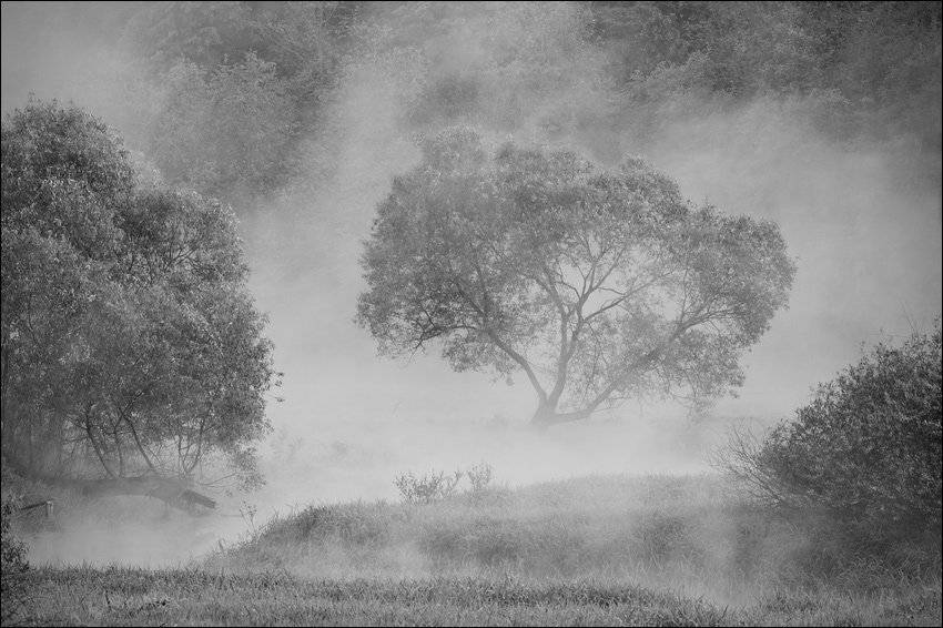 , Сергей Чубаров