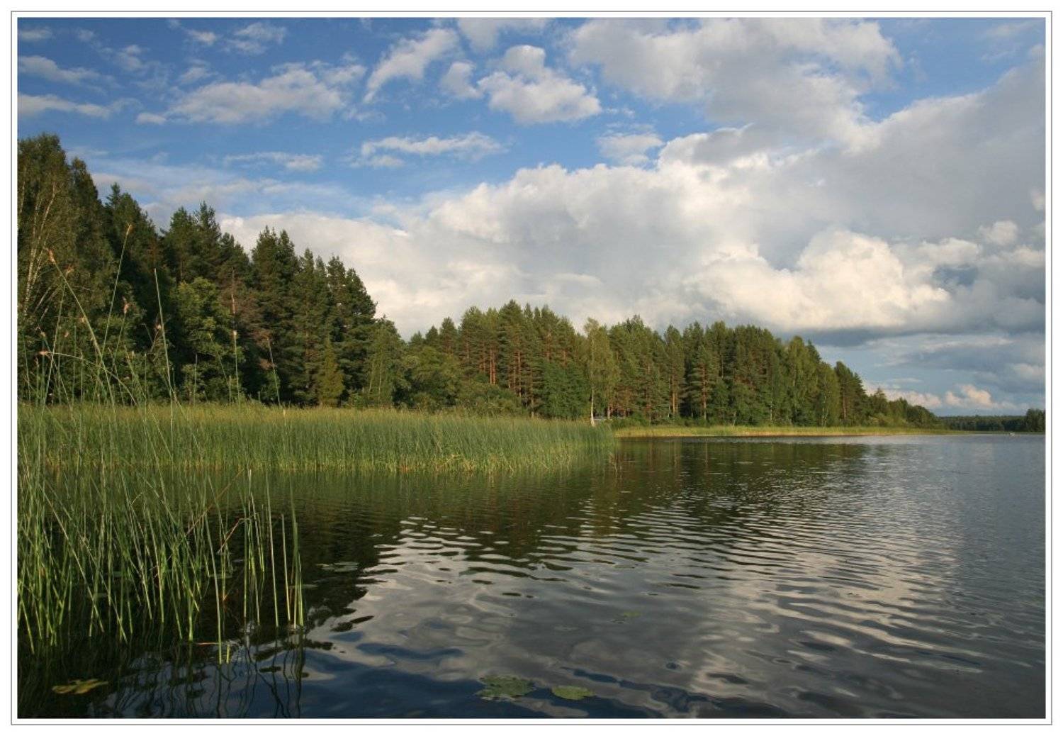 озеро, селигер, вечер, рыбалка, Алексей Самарин