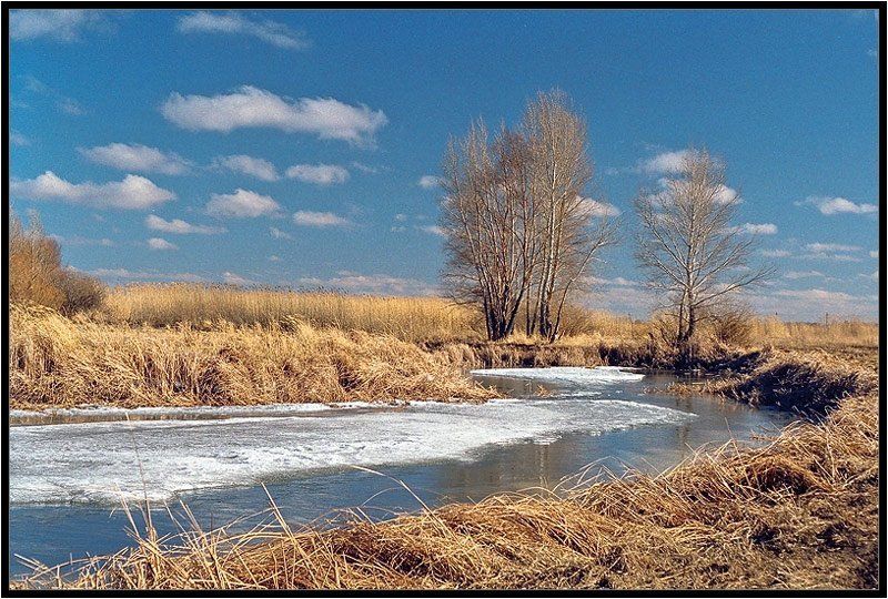 весна,лиман,пейзаж Весна идёт!photo preview