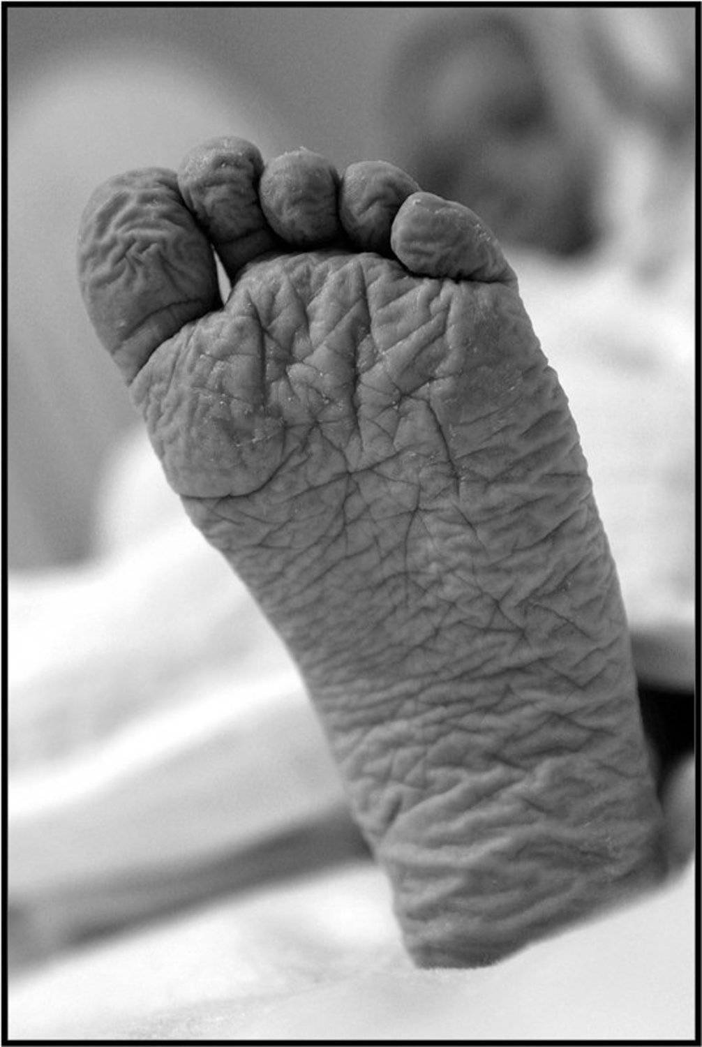 Ступня-Карта. Автор: Качурин Алексей ступня,ч/б,, Качурин Алексей