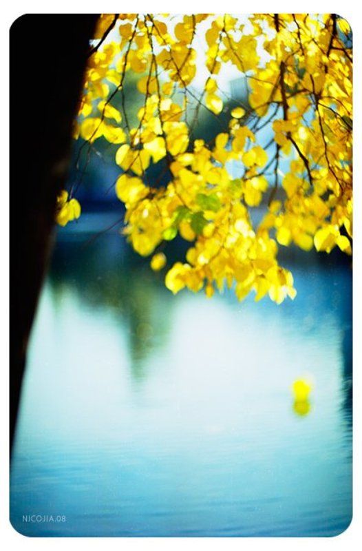 august_2 фото превью