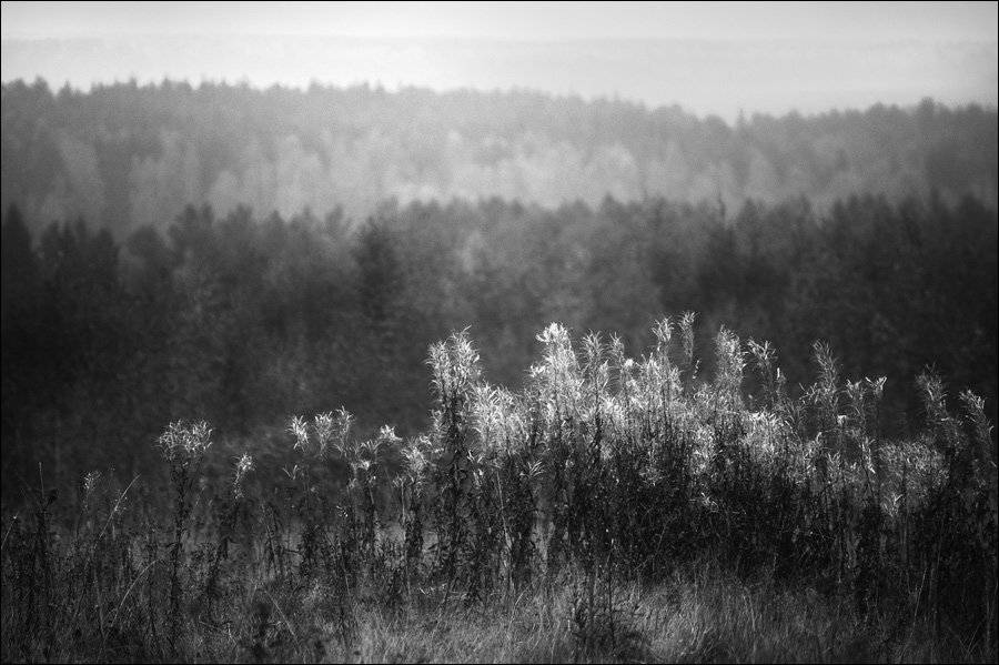 , Сергей Чубаров