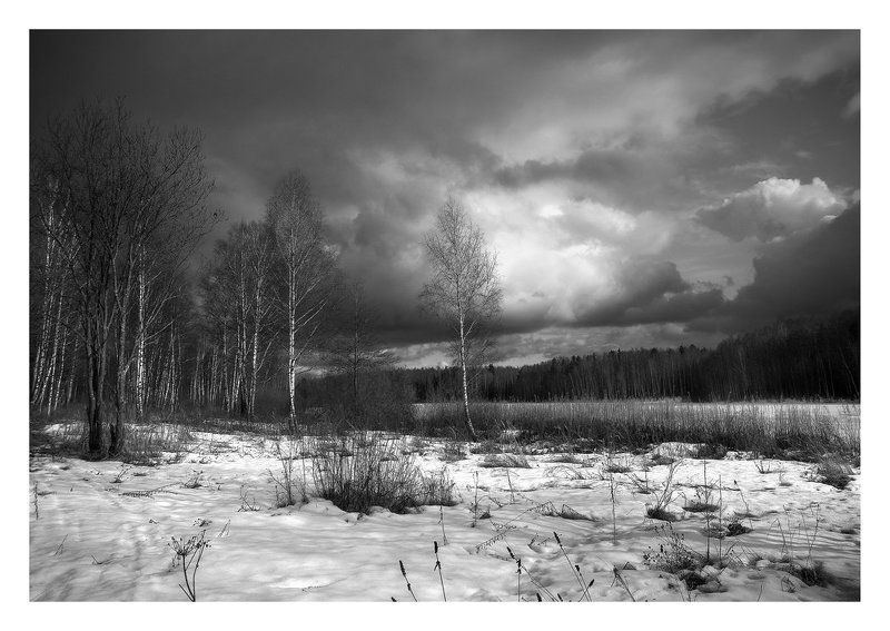 мартовскаяphoto preview