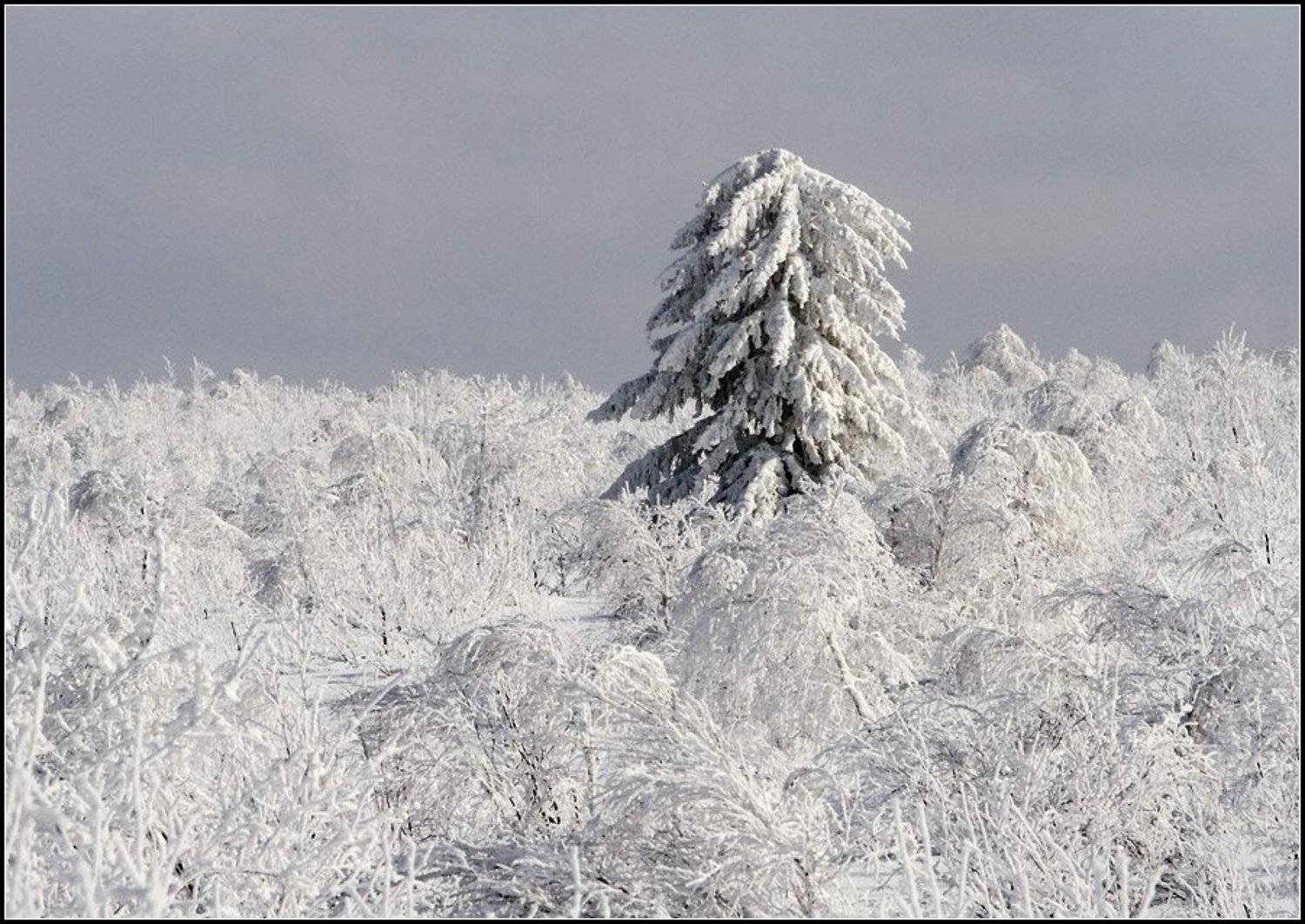 ажигардак, аджигардак, снеговые горы, Степанов Сергей