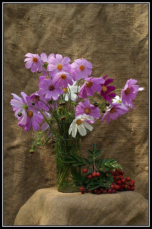 натюрморт, ромашка садовая Этюд с букетом ромашек садовыхphoto preview