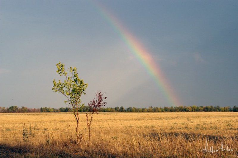 радуга, природа, небо, оеснь Осенняя Радугаphoto preview