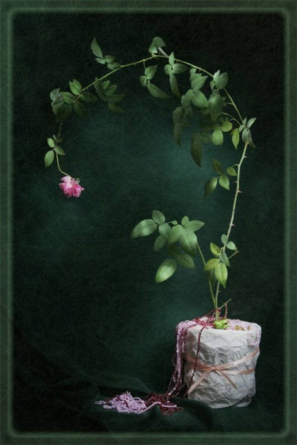 световая кисть, Айрин