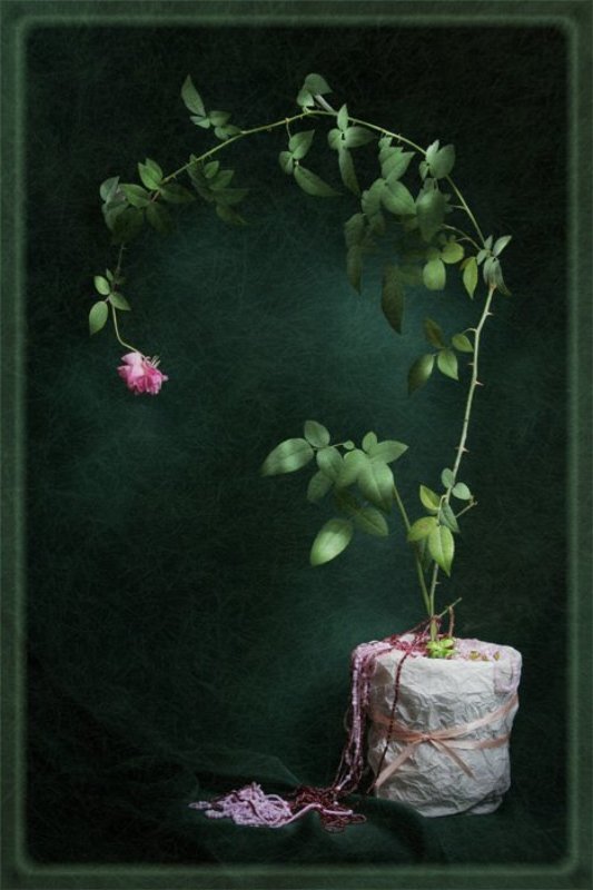 световая кисть Нежное Одиночествоphoto preview