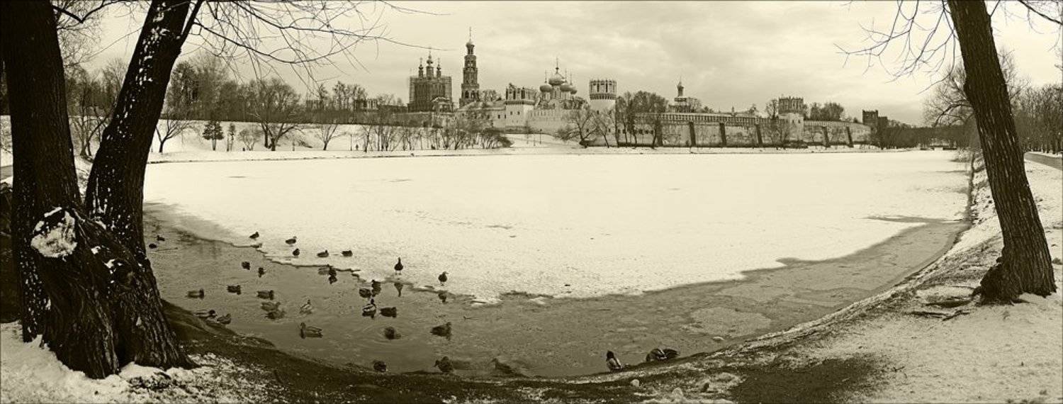 Новодевичий монастырь. Автор: Байдалов Павел москва, новодевичий монастырь, Байдалов Павел
