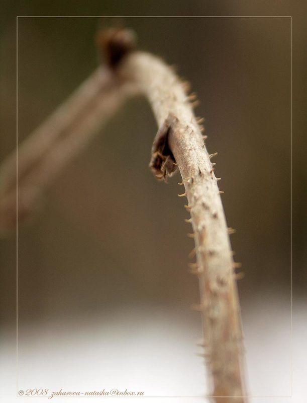 Состояние души...photo preview