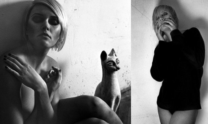 кошкаphoto preview