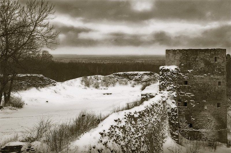 крепость капорье,лес,облака,время Война со врменемphoto preview