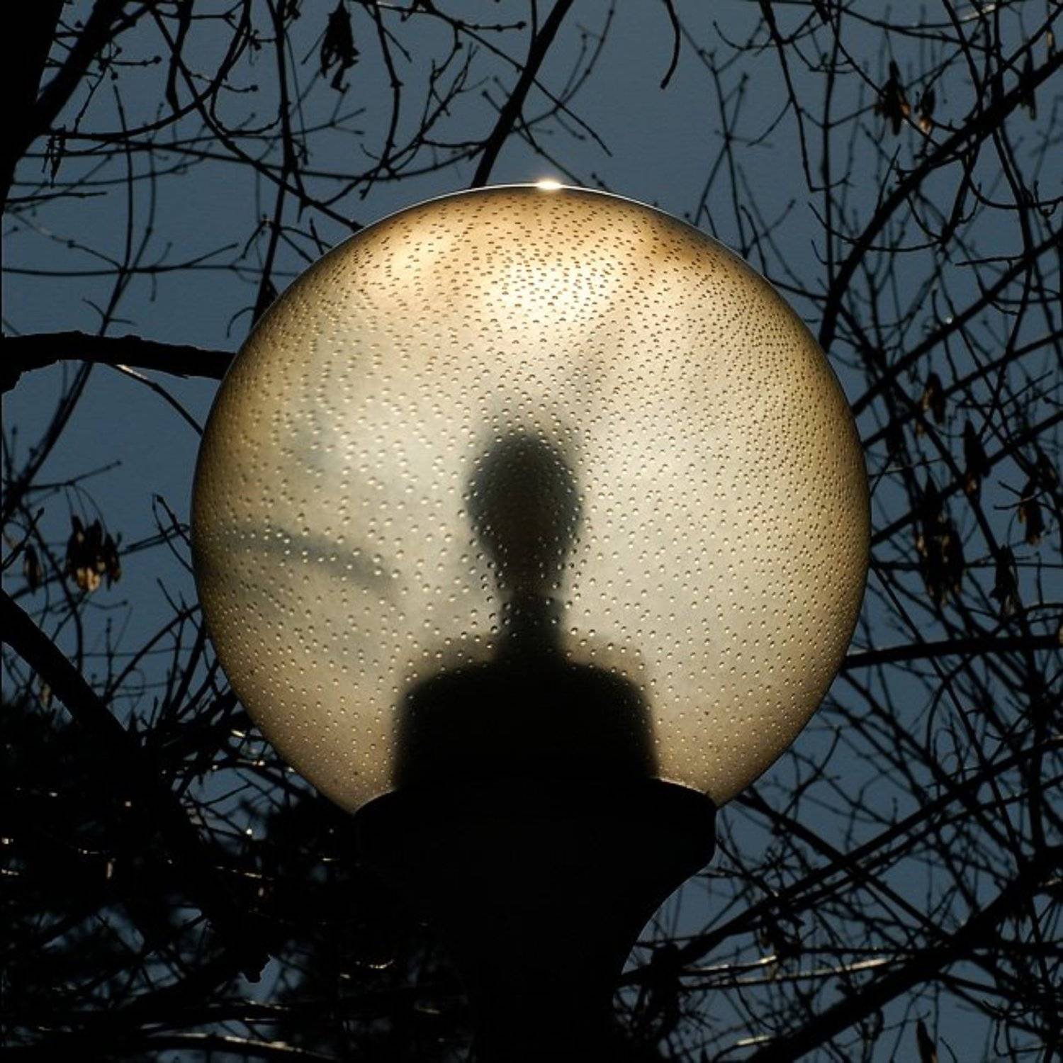 Инопланетный гость. Автор: Vasiliy инопланетный гость, Vasiliy