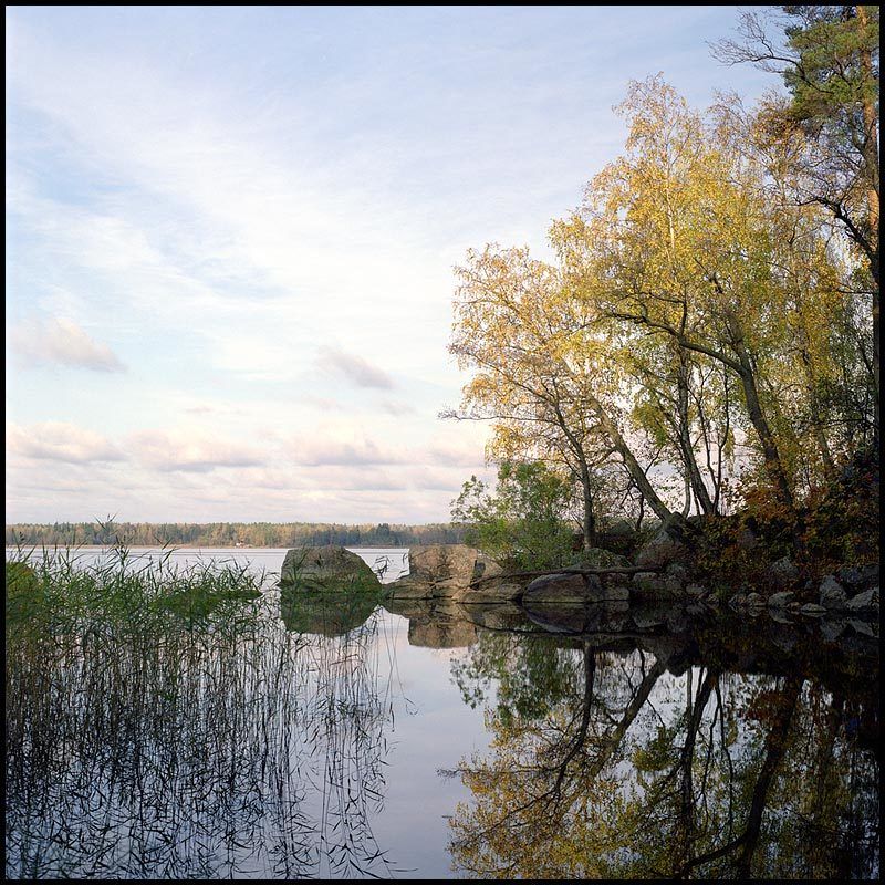 Осень в Монрепоphoto preview