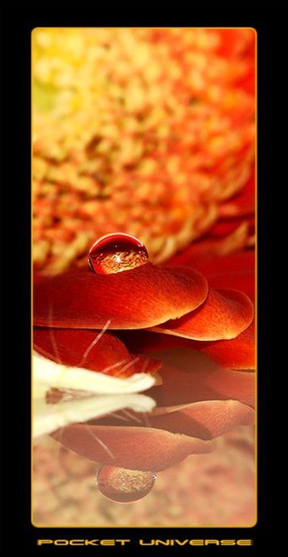 вселенная капля макро Карманная Вселенная....... фото превью