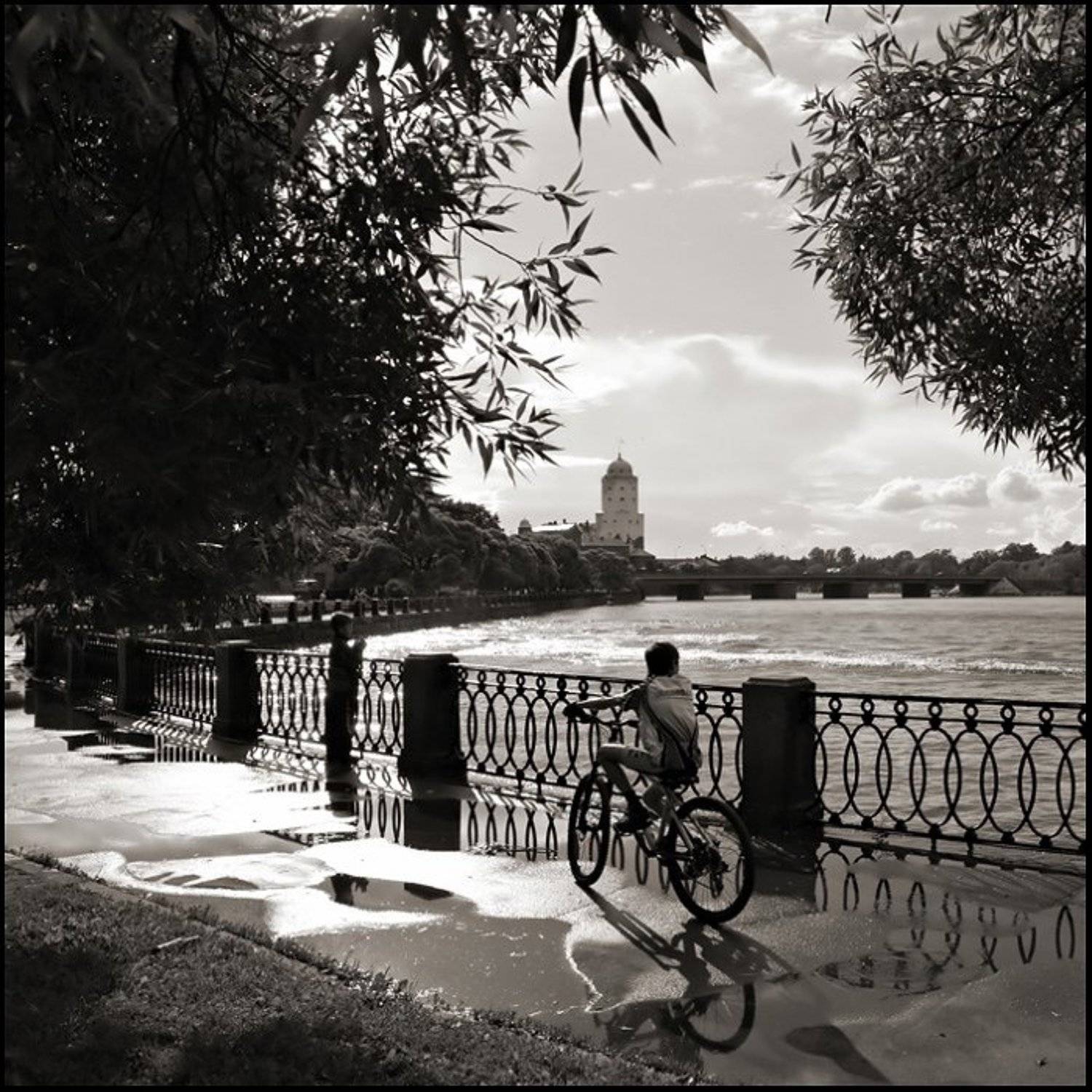 после дождя. Автор: Андрей Литов выборг, Андрей Литов