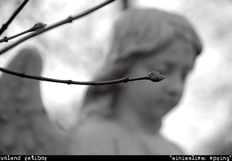 spring, cemetary, gothic, depression Веснаphoto preview