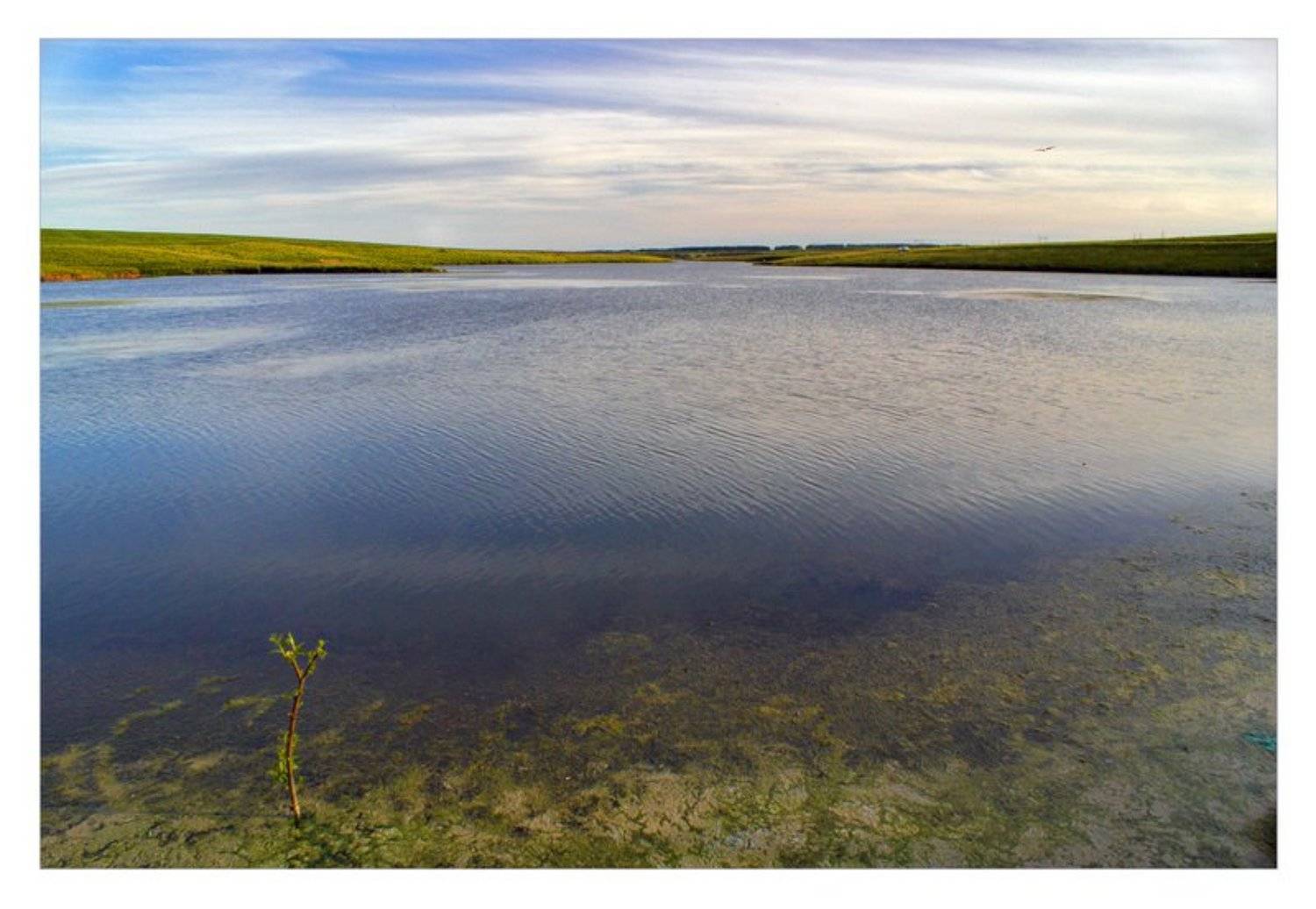 жизнь и смерть. Автор: Сергей Дужников жизнь, смерть, Сергей Дужников