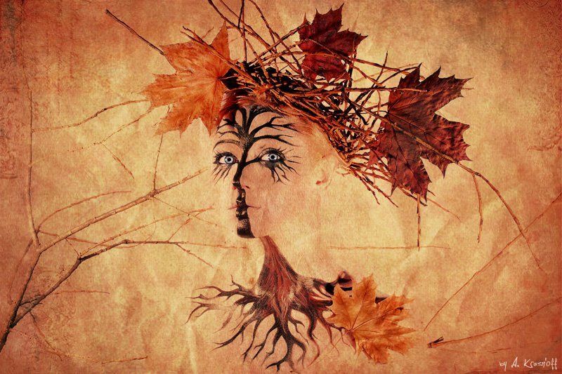 девушкуа, осень, портрет, взгляд, клён ОСЕНЬ..photo preview