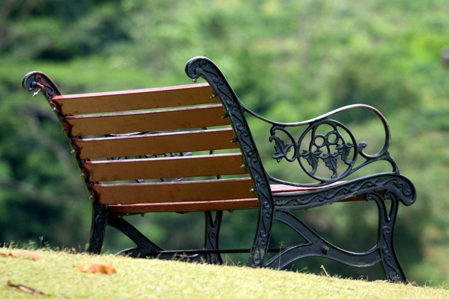 одиночество.... Автор: Александр Цабель , Александр Цабель