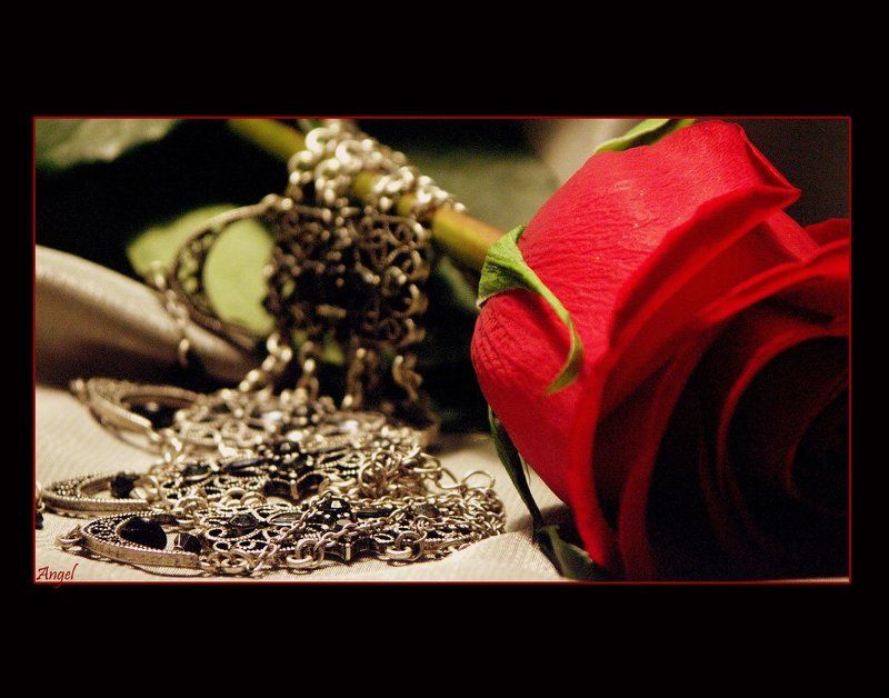 Колье и Розаphoto preview