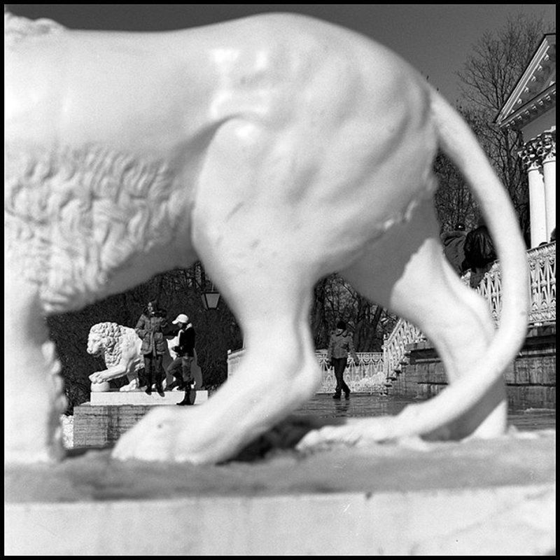 Весна. Елагин.photo preview