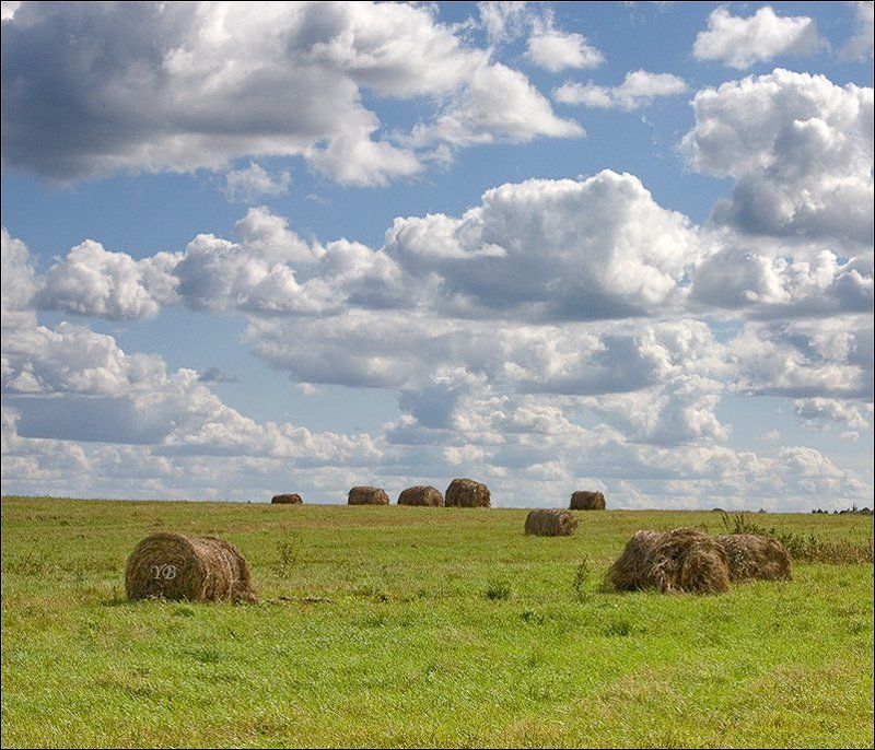 старая ладога, сено photo preview